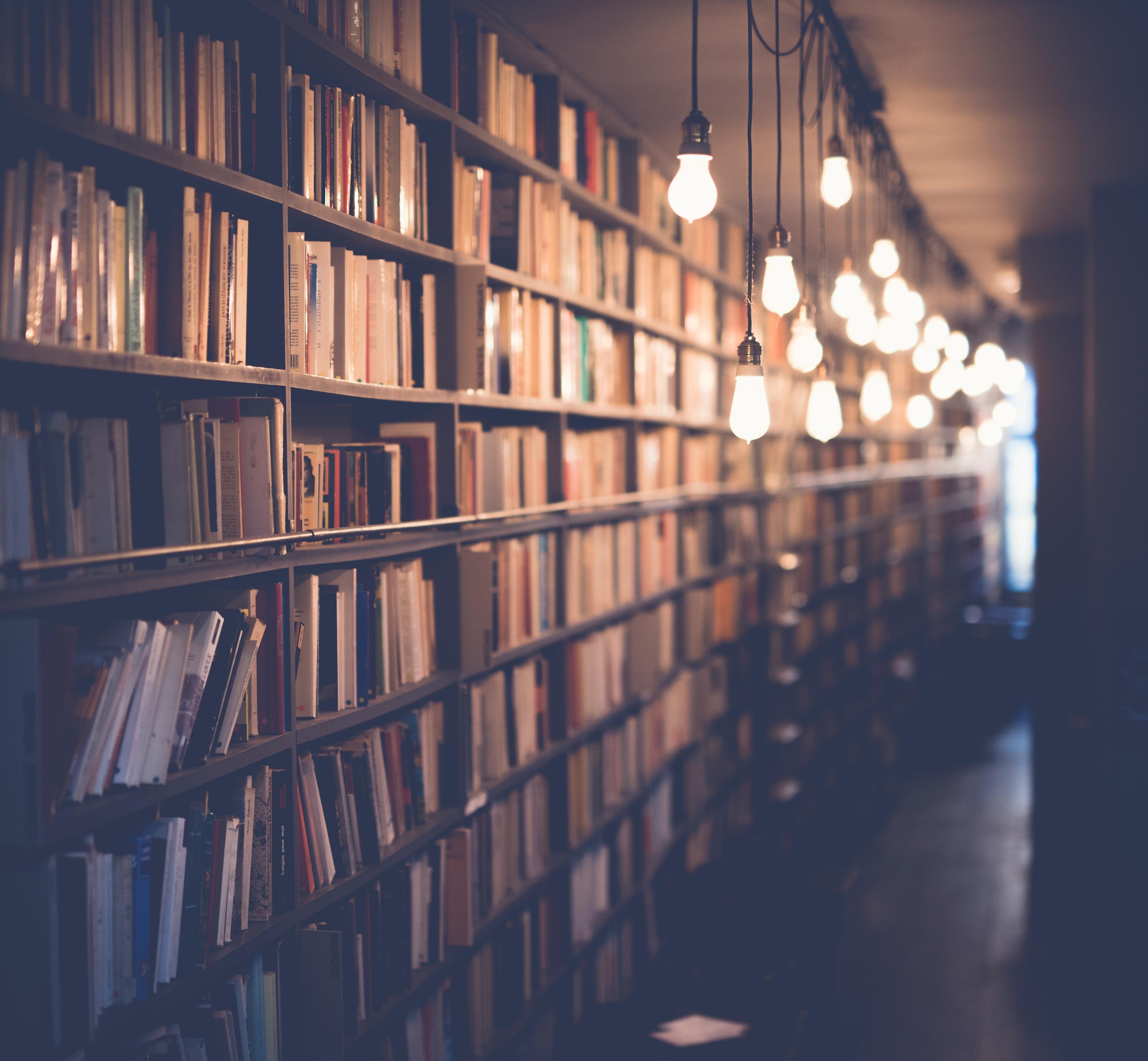 Bookshelves along a softly lit hallway with a peaceful ambiance.